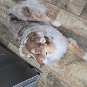 Meet your Posher, Spencer